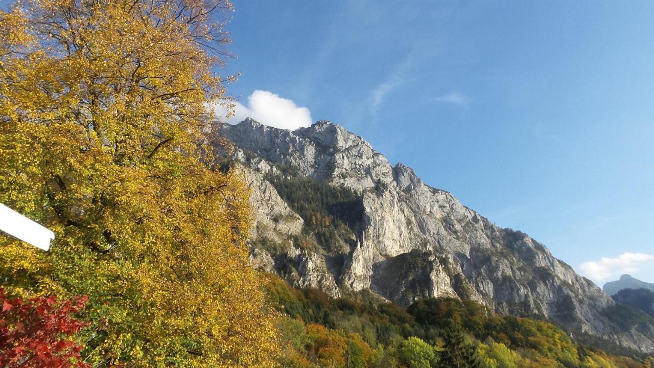 Wolfis Traunseeblick - Mit Kostenlosem Parkplatz Direkt An Der Unterkunft Gmunden Luaran gambar